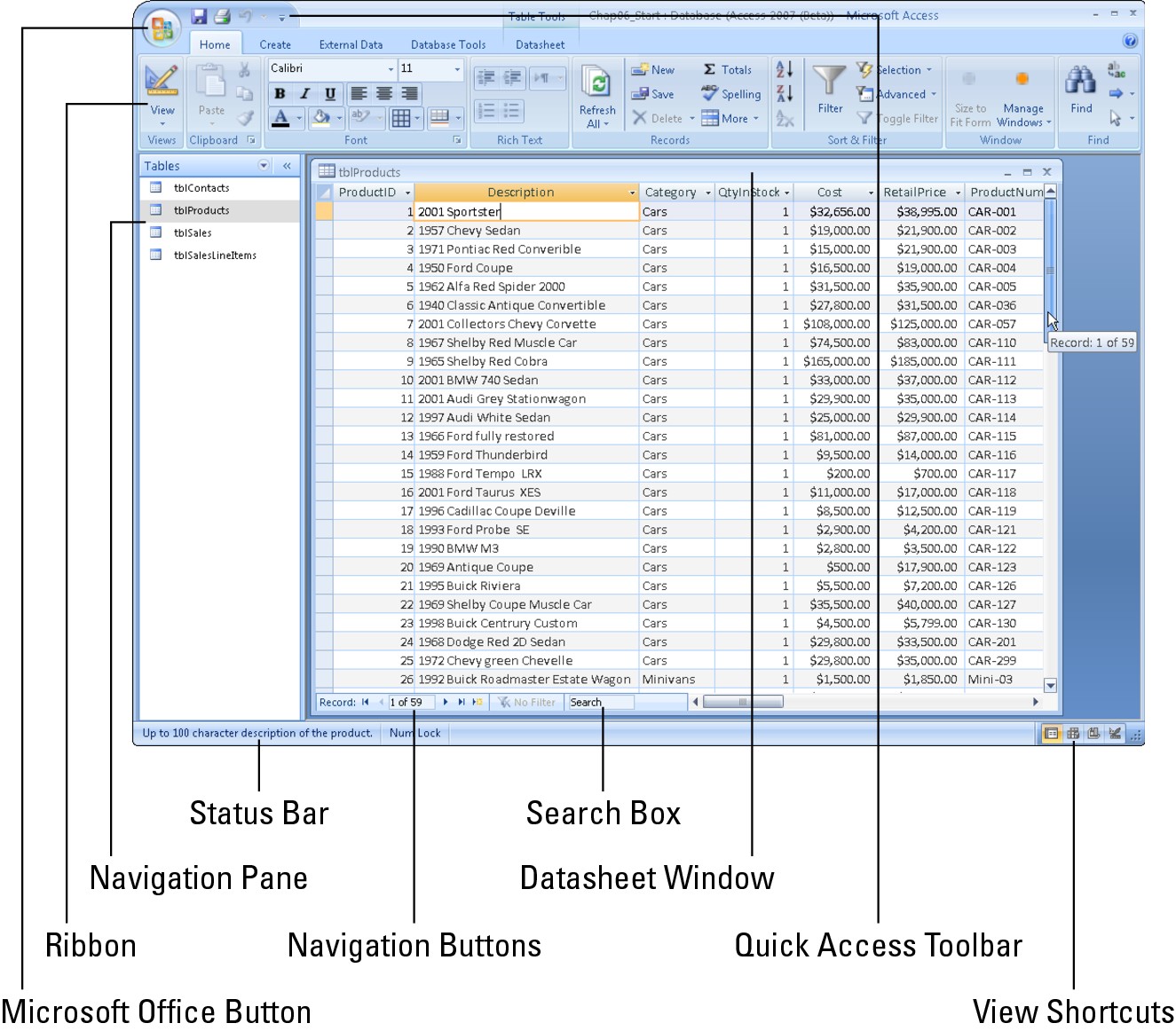 A typical Datasheet View. Each row represents a single record in the table; each column represents a single field (like Description or RetailPrice ) in the table.